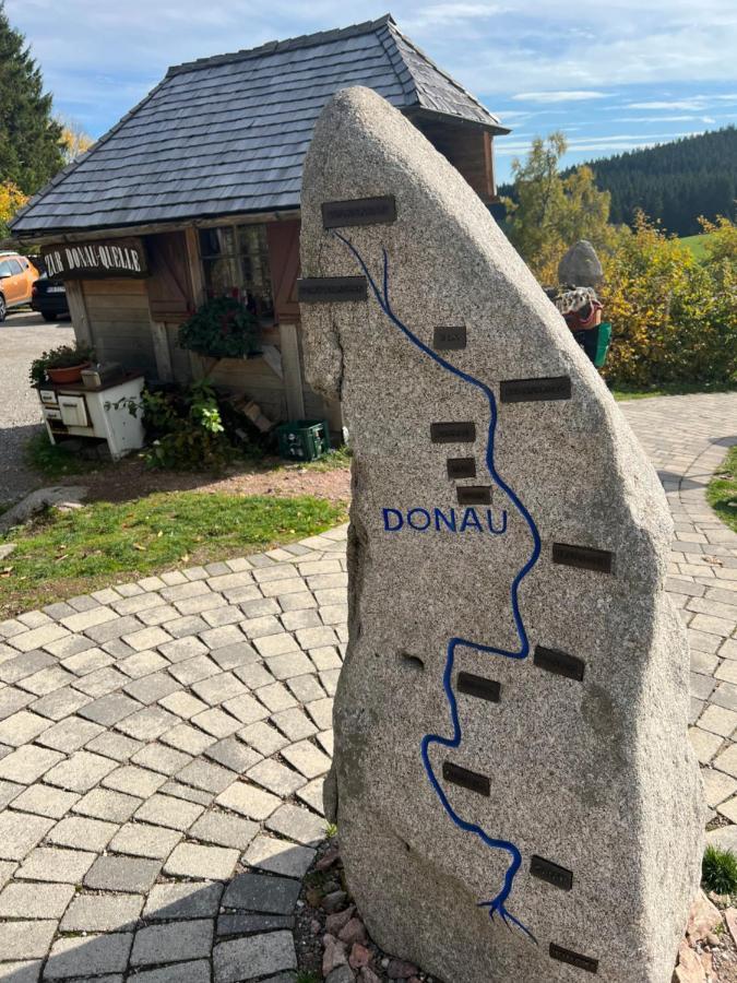 Apartment Annis Panoramablick Pool Sauna Tennis Schonach im Schwarzwald Ngoại thất bức ảnh